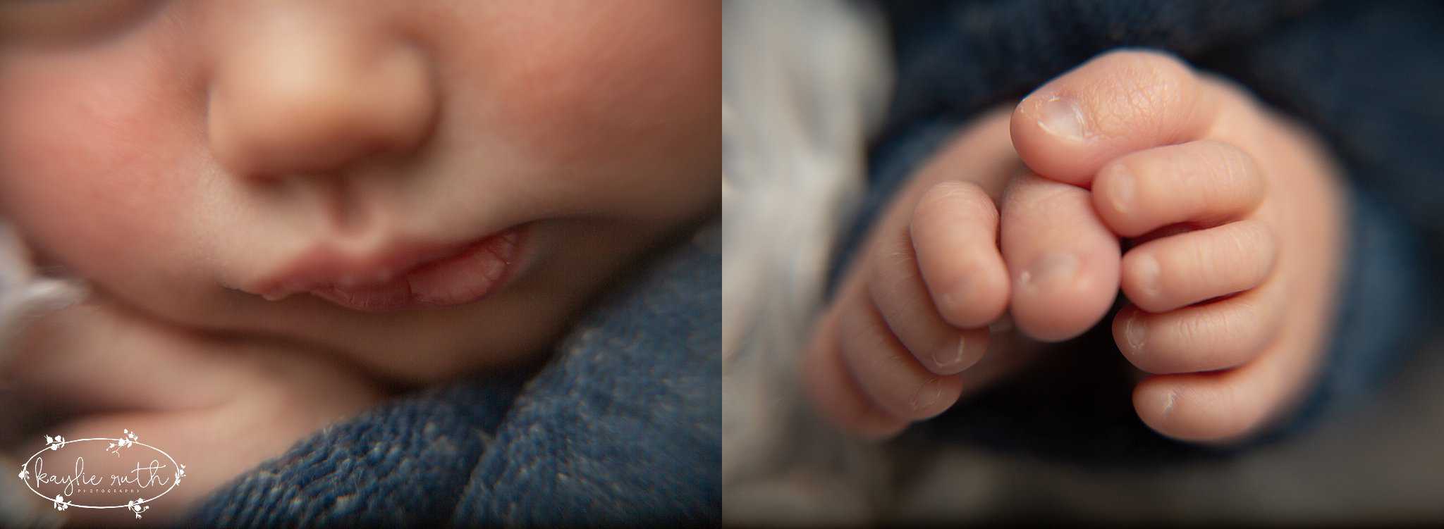 newborn photography broomfield colorado